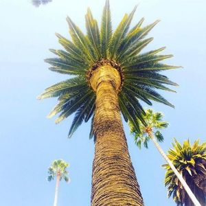 Meet your Posher, Jacob